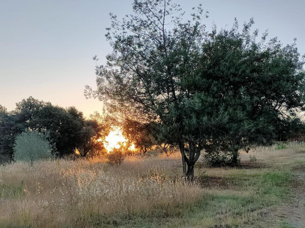 Casa Rural Camino Del Alentejo Villa La Codosera ภายนอก รูปภาพ