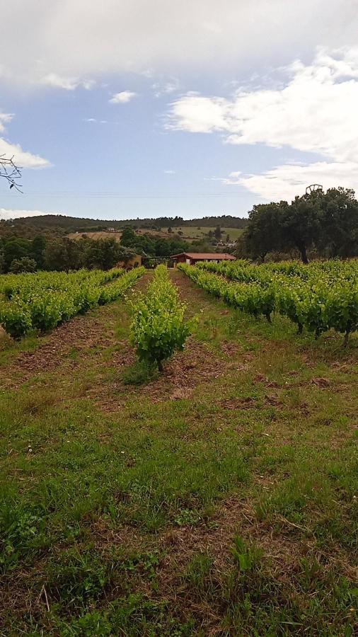 Casa Rural Camino Del Alentejo Villa La Codosera ภายนอก รูปภาพ