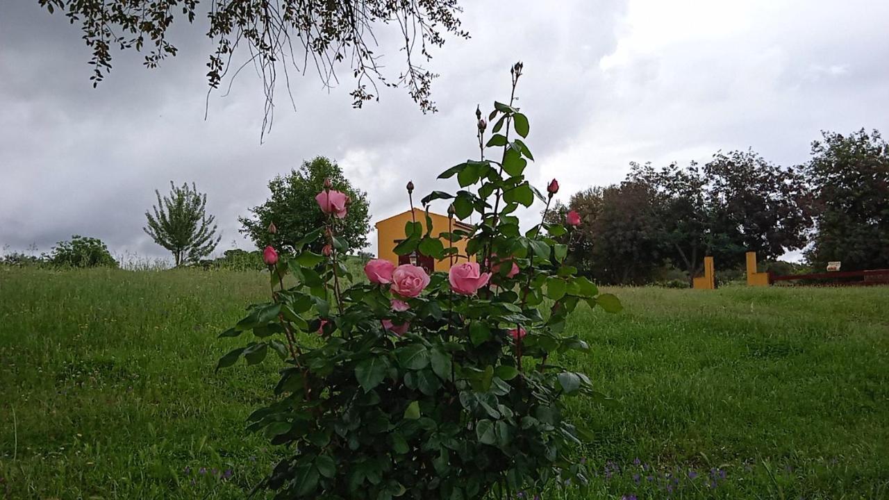 Casa Rural Camino Del Alentejo Villa La Codosera ภายนอก รูปภาพ