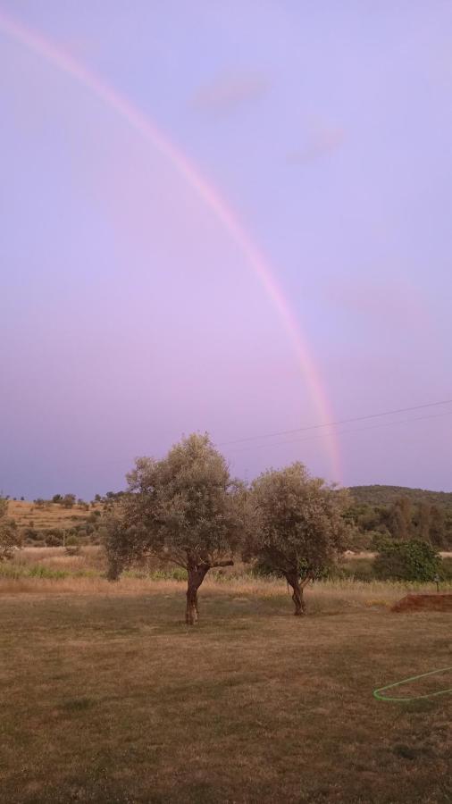Casa Rural Camino Del Alentejo Villa La Codosera ภายนอก รูปภาพ