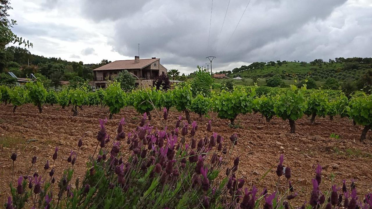 Casa Rural Camino Del Alentejo Villa La Codosera ภายนอก รูปภาพ