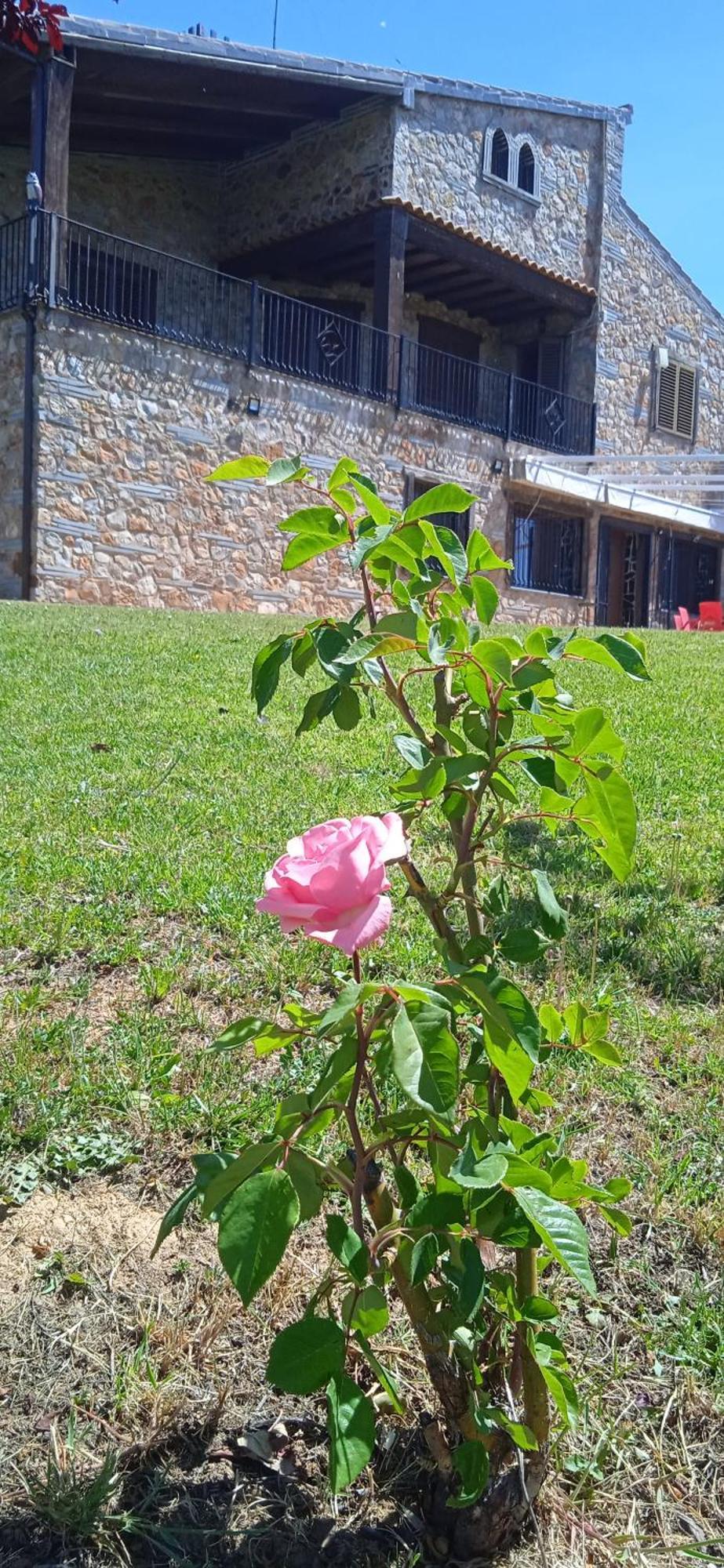 Casa Rural Camino Del Alentejo Villa La Codosera ภายนอก รูปภาพ