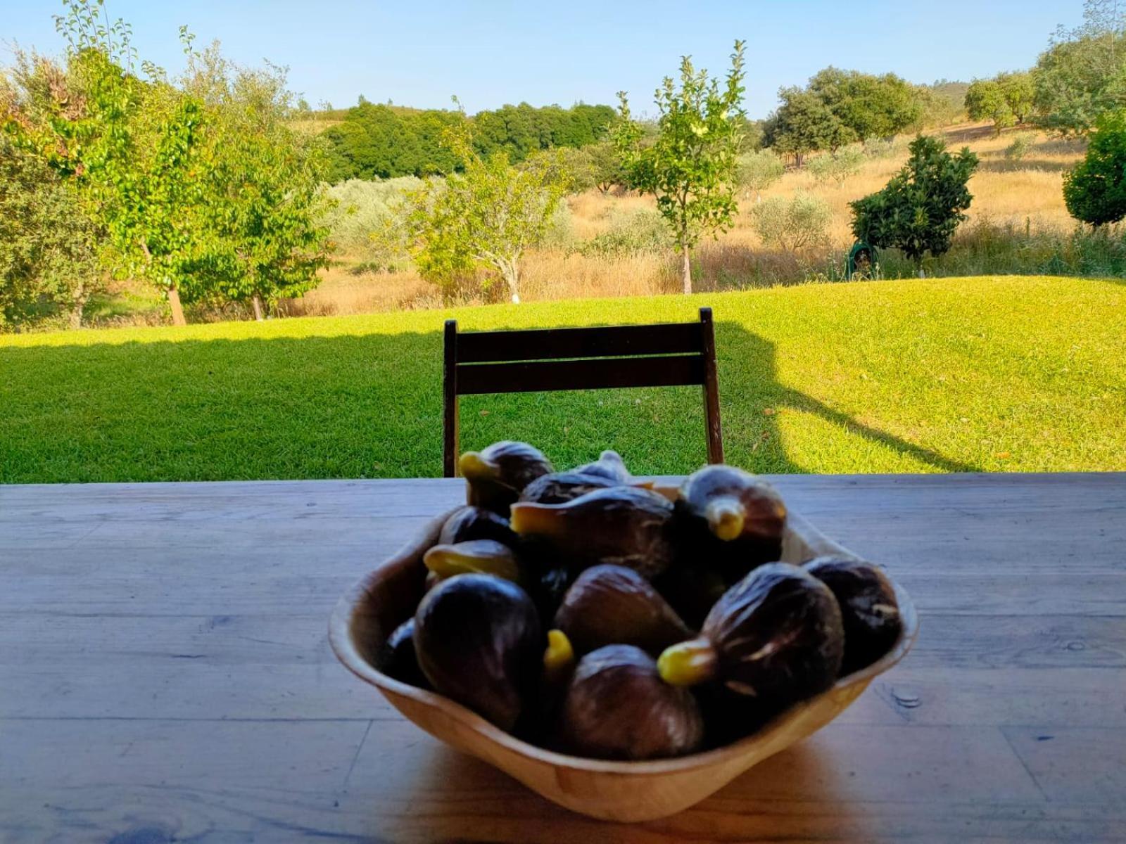 Casa Rural Camino Del Alentejo Villa La Codosera ห้อง รูปภาพ